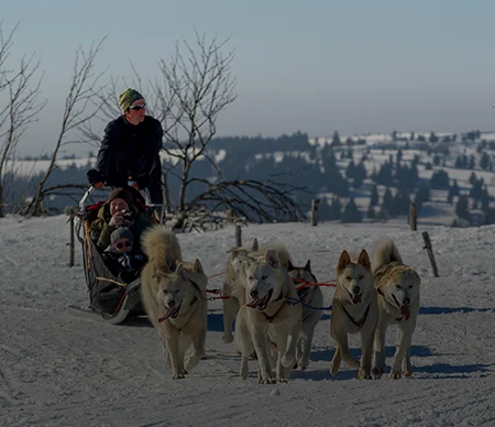 Balades en traineau a chiens